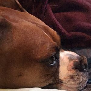 Meet your Posher, Tina